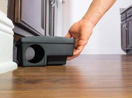 Kemirgen Mücadelesi